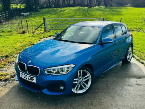BMW 1 Series 116 1.5 116d M Sport Hatchback 5dr Diesel Manual Euro 6 (s/s) (116 ps) 