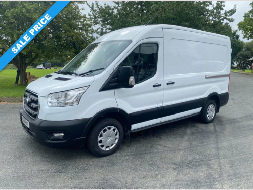 Ford Transit  2.0 290 TREND P/V ECOBLUE 129 BHP
