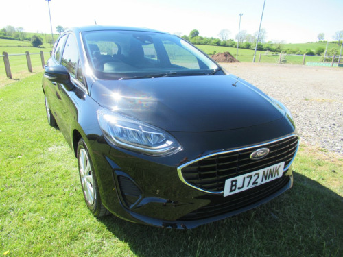 Ford Fiesta  1.0 EcoBoost Trend 5dr