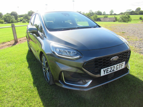 Ford Fiesta  1.0 EcoBoost Hybrid mHEV 155 ST-Line Vignale 5dr