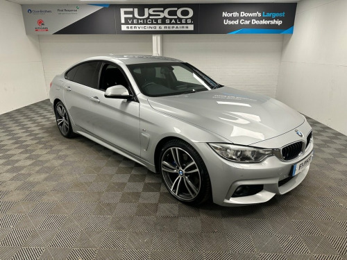 BMW 4 Series  2.0 420d M Sport Hatchback 5dr Diesel Auto Euro 6 