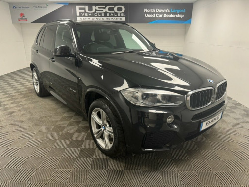 BMW X5  3.0 30d M Sport SUV 5dr Diesel Auto xDrive Euro 6 