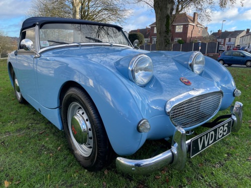 Austin Healey FROGEYE SPRITE  -