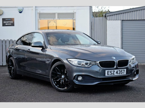 BMW 4 Series  2.0 420d SE Hatchback 5dr Diesel Manual Euro 6 (s/