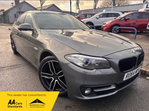 BMW 5 Series 520 520d SE 