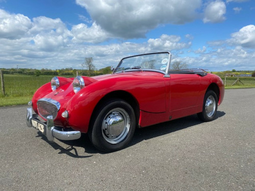 Austin Healey FROGEYE SPRITE  -