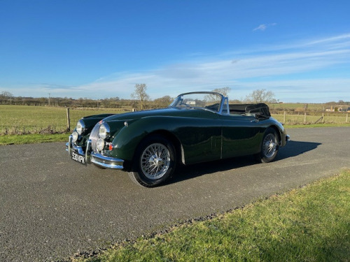 Jaguar XK -