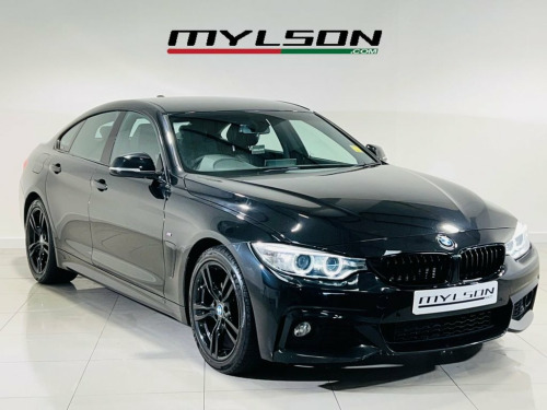 BMW 4 Series  2.0 420d M Sport Hatchback 5dr Diesel Auto Euro 6 