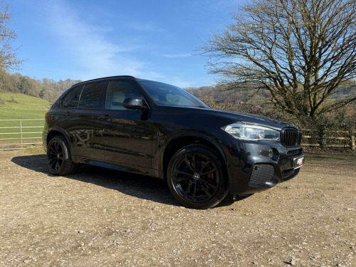 BMW X5 X5 3.0 X5 xDrive40d M Sport