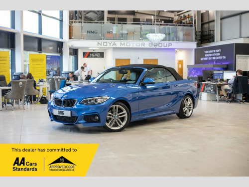 BMW 2 Series  2.0 225d M Sport Convertible 2dr Diesel Auto Euro 