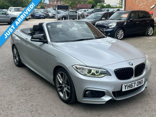 BMW 2 Series  2.0 220d M Sport Convertible 2dr Diesel Manual Eur