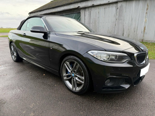 BMW 2 Series  2.0 228i M Sport Convertible 2dr Petrol Auto Euro 