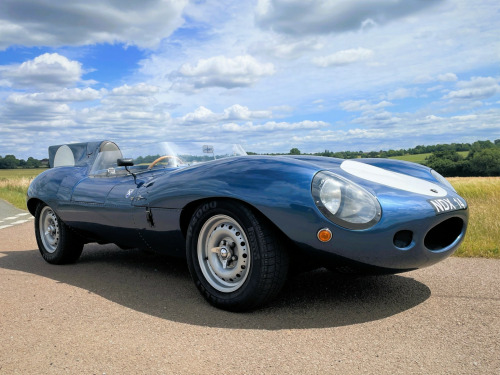 Jaguar D-TYPE  Realm 