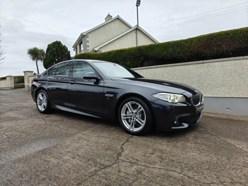 BMW 5 Series  3.0 530d M Sport Saloon 4dr Diesel Auto Euro 6 (s/