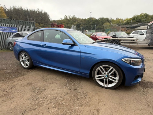 BMW 2 Series  2.0 225d M Sport Coupe 2dr Diesel Auto Euro 6 (s/s