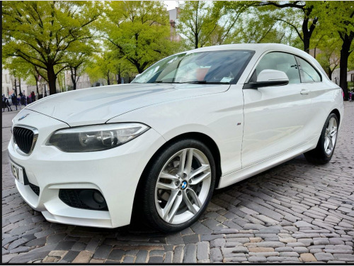 BMW 2 Series  2.0 218d M Sport Euro 6 (s/s) 2dr