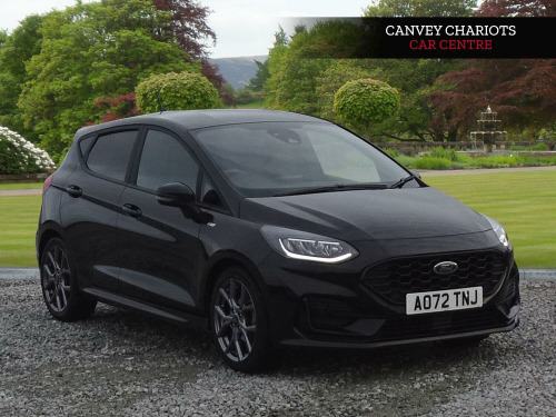 Ford Fiesta  1.0T EcoBoost ST-Line Euro 6 (s/s) 5dr 