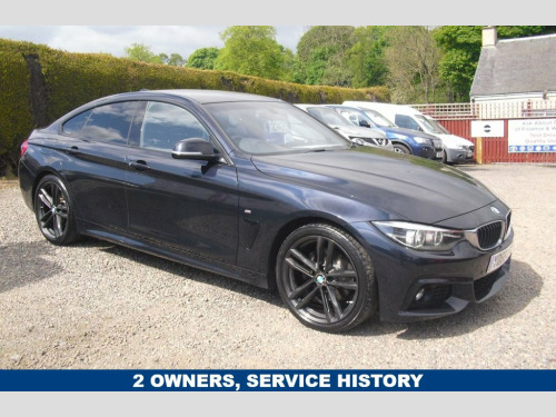 BMW 4 Series  2.0 420d M Sport Hatchback 5dr Diesel Auto Euro 6 