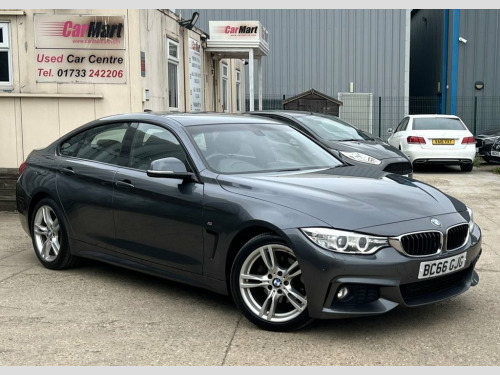 BMW 4 Series  2.0 420d M Sport Hatchback 5dr Diesel Auto Euro 6 