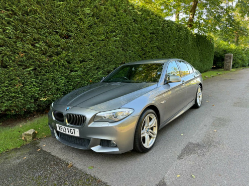 BMW 5 Series  2.0 520d M Sport Auto Euro 5 (s/s) 4dr