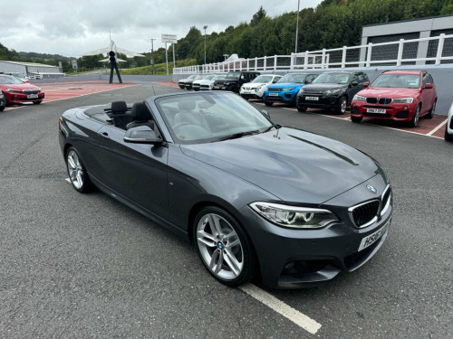 BMW 2 Series 220 220I M SPORT CONVERTIBLE 2.0 Auto 181 BHP Mineral 