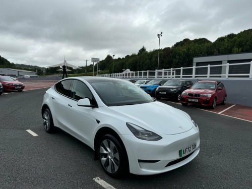 Tesla Model Y  LONG RANGE AWD Dual Motor 507 BHP Metallic White, 