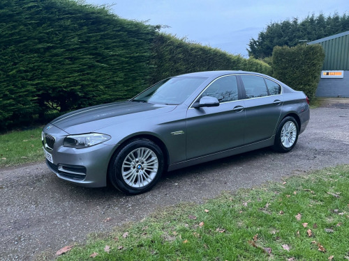 BMW 5 Series  2.0 520d SE Auto Euro 6 (s/s) 4dr