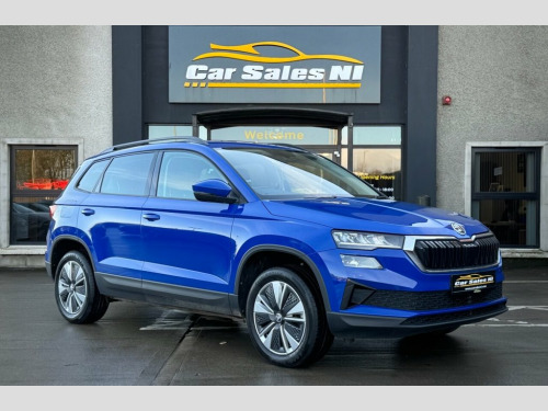Skoda Karoq  2.0 TDI SE Drive SUV 5dr Diesel DSG Euro 6 (s/s) (