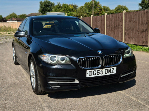BMW 5 Series  2.0 520i SE Auto Euro 6 (s/s) 4dr