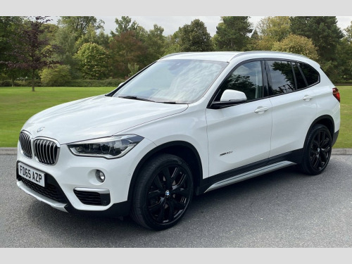 BMW X1 X1 2.0 X1 xDrive20d xLine