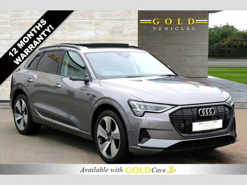 Audi E-Tron  55 Launch Edition SUV 5dr Electric Auto quattro 95