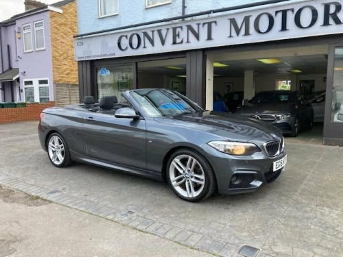 BMW 2 Series  2.0 220i M Sport Convertible 2dr Petrol Auto Euro 