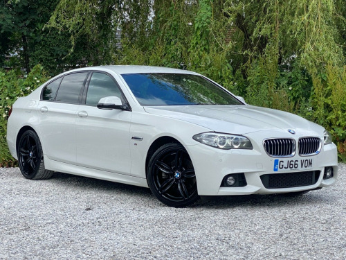 BMW 5 Series  2.0 520d M Sport Auto Euro 6 (s/s) 4dr