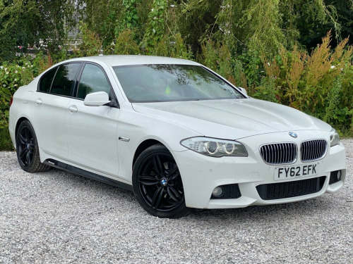 BMW 5 Series  2.0 520d M Sport Auto Euro 5 (s/s) 4dr