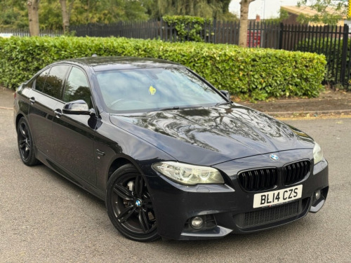 BMW 5 Series  3.0 530d M Sport Saloon 4dr Diesel Auto Euro 6 (s/