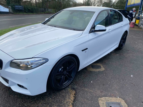 BMW 5 Series  2.0 520d M Sport Auto Euro 6 (s/s) 4dr 