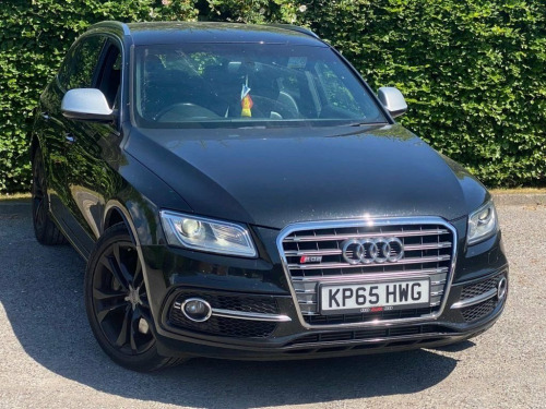 Audi SQ5  3.0 BiTDI V6 SUV 5dr Diesel Tiptronic quattro Euro