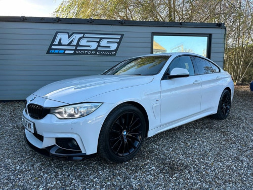 BMW 4 Series  2.0 420d M Sport Hatchback 5dr Diesel Auto Euro 6 