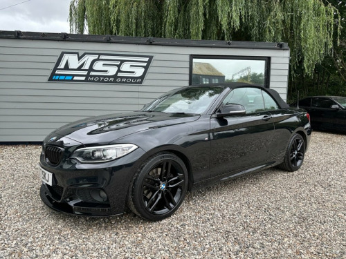 BMW 2 Series  2.0 220d M Sport Convertible 2dr Diesel Auto Euro 