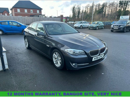 BMW 5 Series  2.0 520d SE Saloon 4dr Diesel Auto Euro 5 (s/s) (1