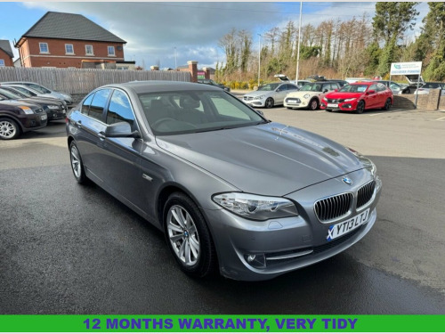 BMW 5 Series  2.0 520d SE Saloon 4dr Diesel Auto Euro 5 (s/s) (1