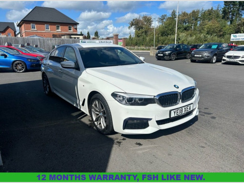BMW 5 Series  2.0 520d M Sport Saloon 4dr Diesel Auto xDrive Eur