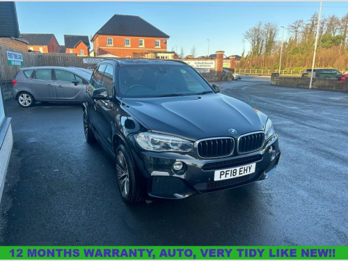 BMW X5  3.0 30d M Sport SUV 5dr Diesel Auto xDrive Euro 6  