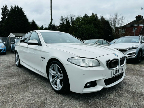 BMW 5 Series  2.0 520d M Sport Auto Euro 6 (s/s) 4dr