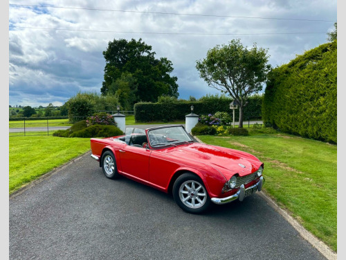 Triumph TR4  -