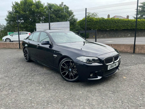 BMW 5 Series  3.0 530d M Sport Saloon 4dr Diesel Auto Euro 6 (s/