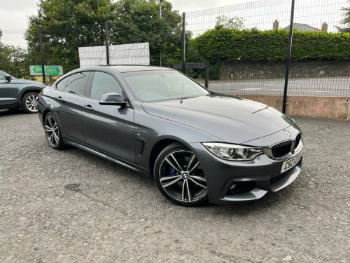 BMW 4 Series  2.0 418d M Sport Hatchback 5dr Diesel Auto Euro 6 