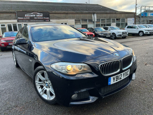 BMW 5 Series  2.0 520d M Sport Steptronic Euro 5 (s/s) 4dr 