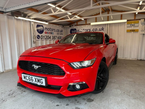 Ford Mustang  2.3T EcoBoost Fastback 2dr Petrol Manual Euro 6 (3