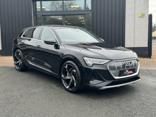 Audi E-Tron  50 S line SUV 5dr Electric Auto quattro 71.2kWh (3 
